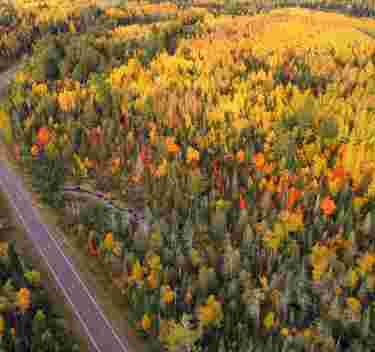 Fall colors from above of the Caribou Trail in Lutsen lots of green and yellow trees