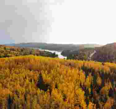 A drone shot of fall colors over a road
