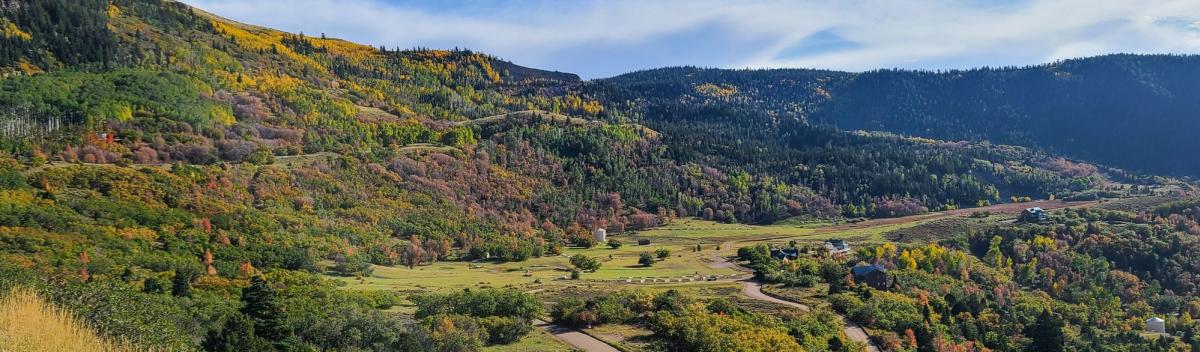 Fall Color in Right Hand Canyon