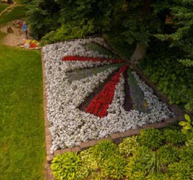 Quilt Garden