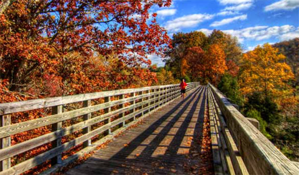 Colorful fall foliage sets the backdrop for a wooden boardwalk trail