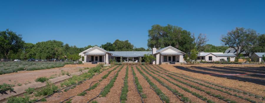 Los Poblanos Lavender Farm