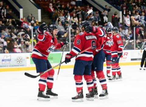 Kalamazoo Wings Hockey