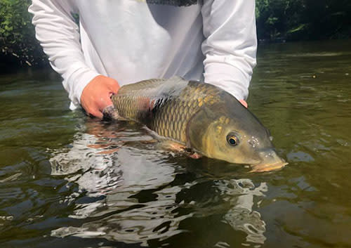 https://assets.simpleviewinc.com/simpleview/image/upload/c_fill,h_353,q_75,w_500/v1/clients/annarbor/schultz_outfitters_huron_river_01_7f3b7590-a222-4069-9e93-ebbc49a06ed9.jpg