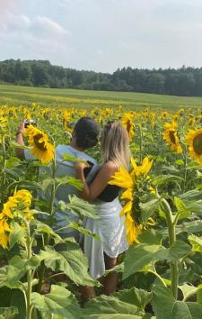 Sunflower Field