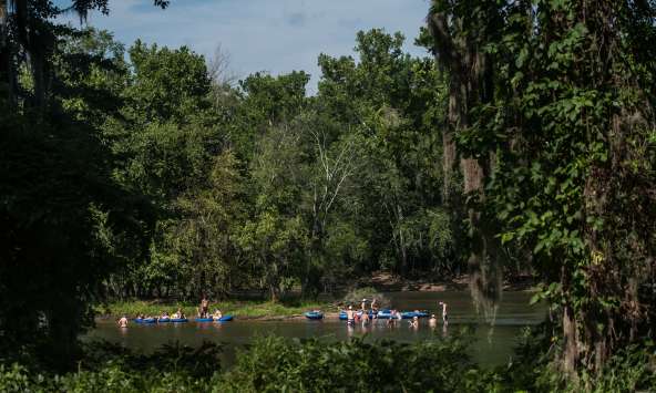 Fourth of July Baseball Columbia SC