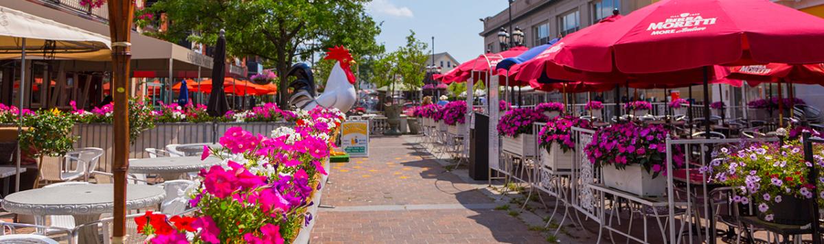 Federal Hill Blog Header