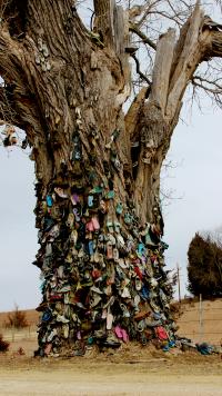 Shoe Tree