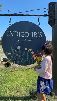 Indigo Iris