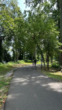 Winding paved walking trail with trees