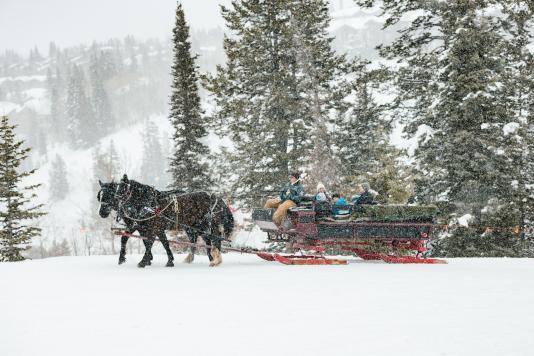 Family in a horse drawn sleigh on a snowy afternoon