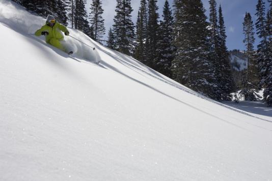 Powder Skiing in Park City