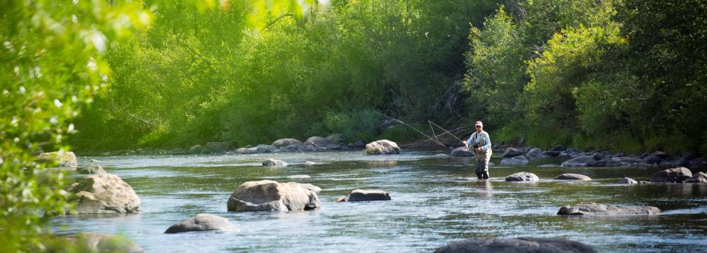 A fisherman casts a line into the river