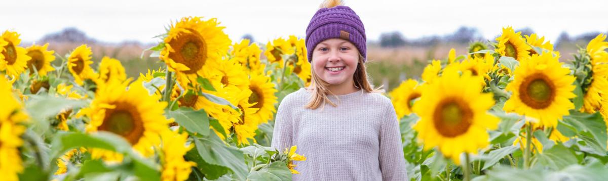 SunflowerBlog