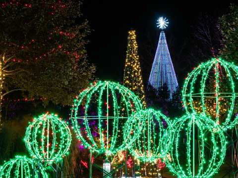 Asheville Nc Christmas 2022 Holiday Events & Festivities In Asheville, N.c. | Asheville, Nc's Official  Travel Site