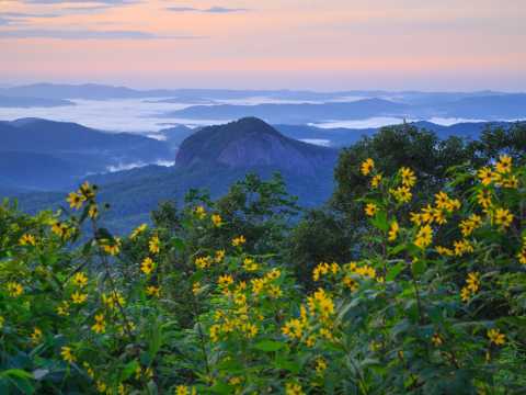 Asheville Hiking Guide: The Trail Starts Here