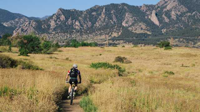 table mountain mtb trails