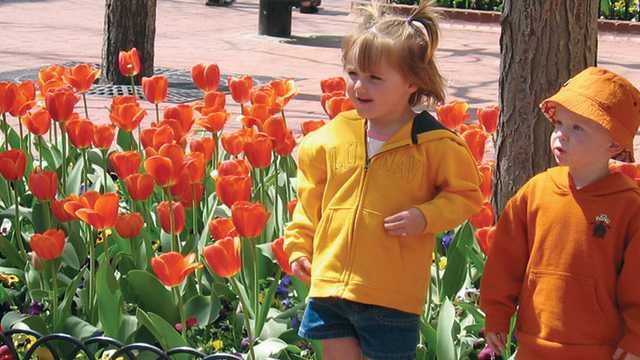 Kids Arts Classes And Workshops In Boulder