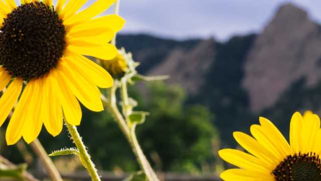 Things To Do Labor Day Weekend In Boulder Colorado