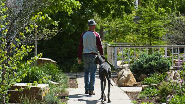 Dog Friendly Boulder Find Dog Friendly Parks Hikes Patios