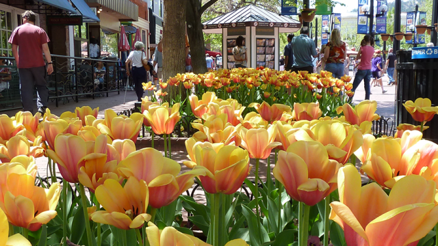 Boulder Weather Current Weather Seasonal Things To Do