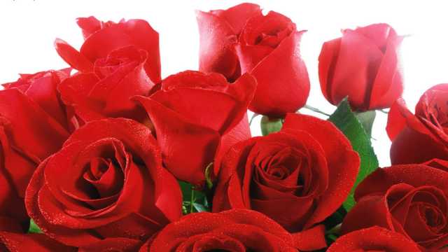 Valentine S Day Ideas Things To Do In Northern Virginia Fxva