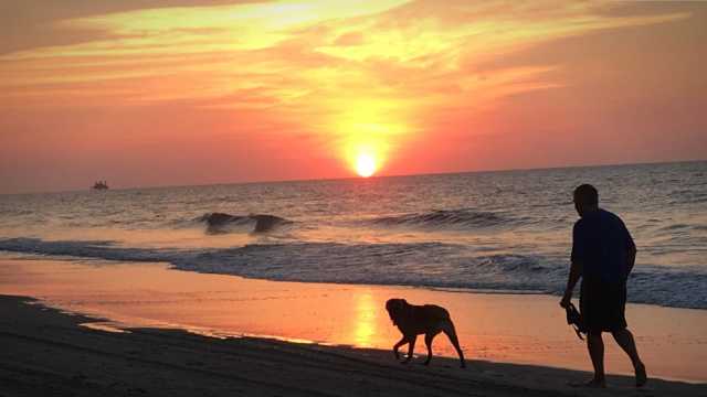 Pet Friendly Myrtle Beach Visit Myrtle Beach Sc