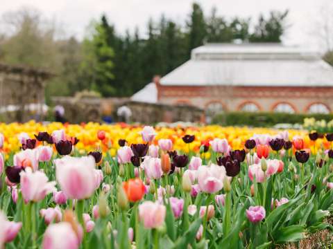 Top Spring Events in Asheville