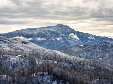 Discover Asheville's Top 5 Winter Wonders