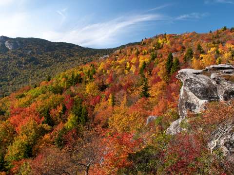 Top 10 Eco-Friendly Ways to Experience Fall in Asheville