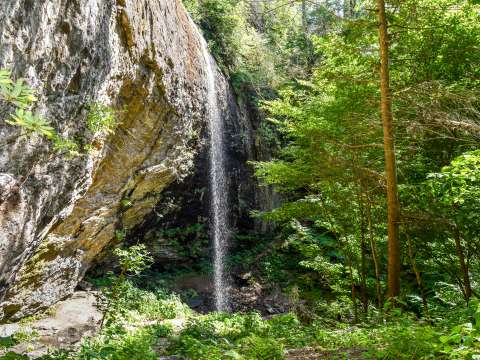 6 Off-the-Beaten-Path Hikes near Asheville, NC