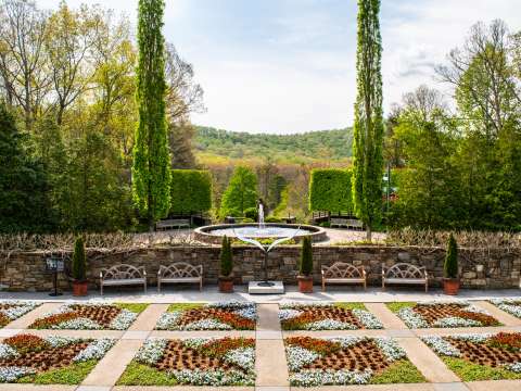 Best Gardens to Visit in Asheville