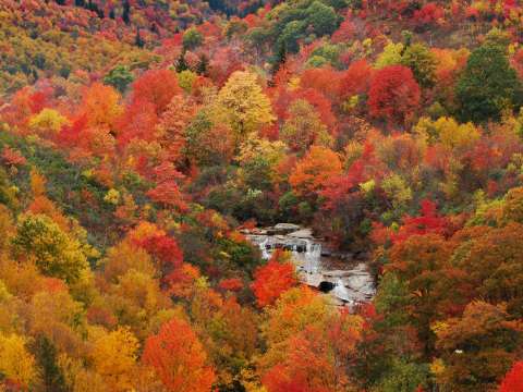 5 Things You Need to Know About Fall in Asheville