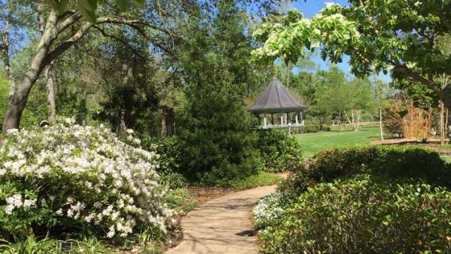 Beaumont Botanical Gardens Gazebo