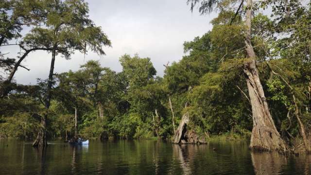 Neches River Rally Canoe Trip