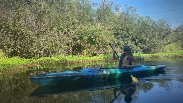 The Vue: Kayaking the Mercer Slough