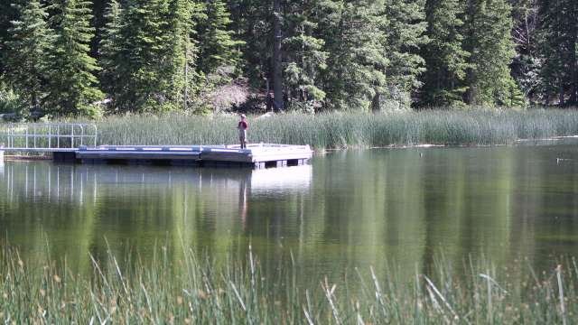 Fishing