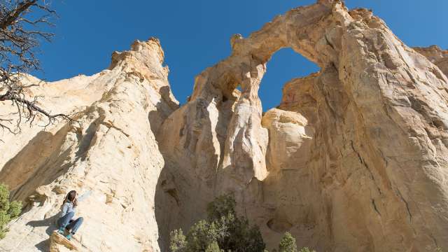 Moka Arch