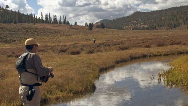 Panguitch Fly Fishing