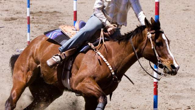 Rodeo