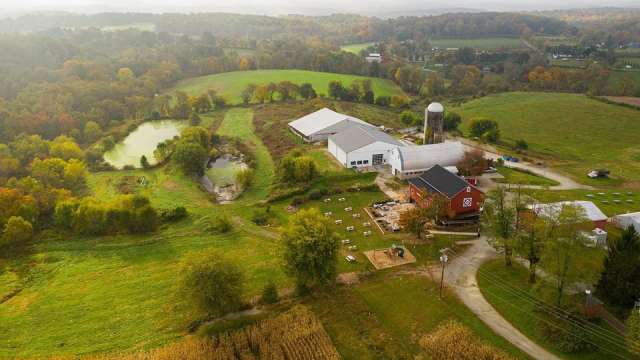 Falling Branch Aerial View