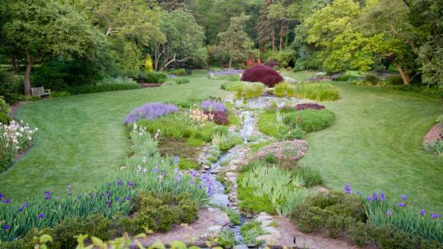 Beautiful flowers in the Iris Garden at Ladew Topiary Gardens