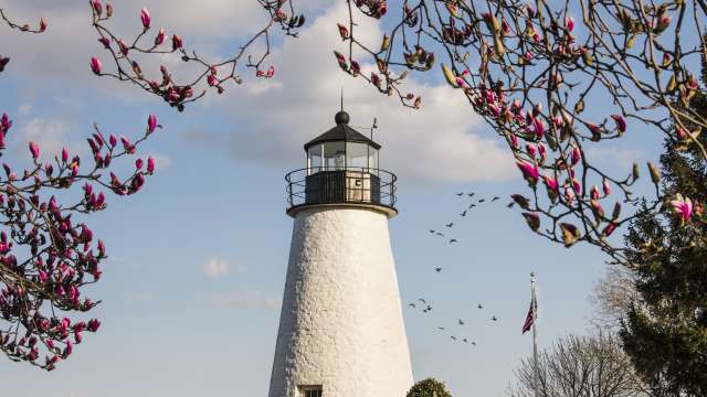Lighthouse Springtime