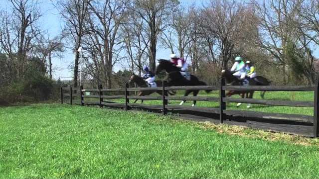 My Lady's Manor Steeplechase 2016 Jump