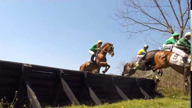 My Lady's Manor Steeplechase 2016 Jump