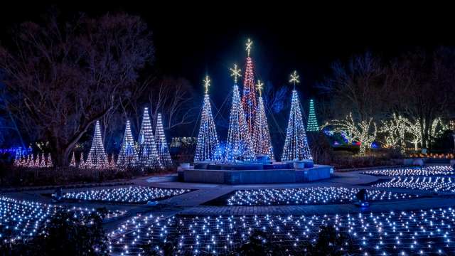 Christmas tree village of lights at Illuminations Botanica Wichita in Wichita KS