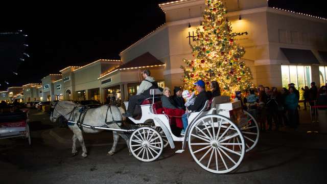 Holiday Carriage Ride in Wichita