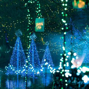 The Holidays In Vancouver