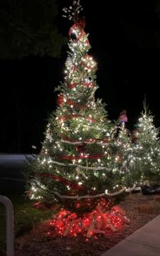 Bonfire & S'mores Themed Tree by the Toasted Sisters