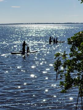 Paddleboarding on beautiful Charlotte Harbor